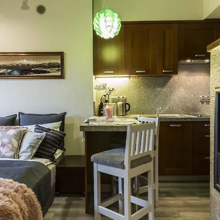 公寓 De Lux Cicha Woda